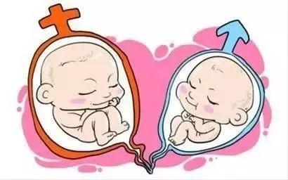 关于同志借卵代怀咨询哪家好